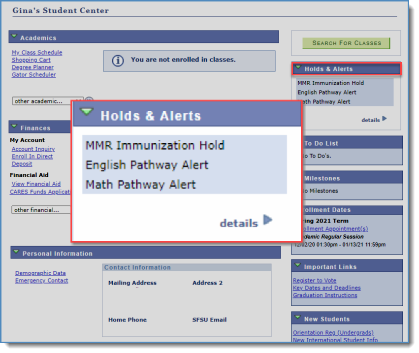 Image of the student center with the Holds & Alerts box brought forward, showing three examples of registration holds